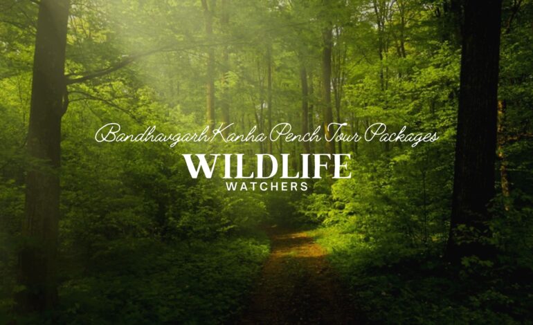 Bandhavgarh Kanha Pench Tour Packages for Wildlife Lovers